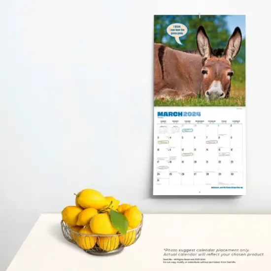 StarGifts 2024 Wall Calendar 12"x12" Jackasses and the Funny Things They Say image {3}