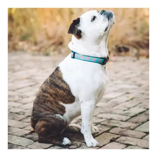 Up Country Dahlia Darling Dog Collar - Large image {2}