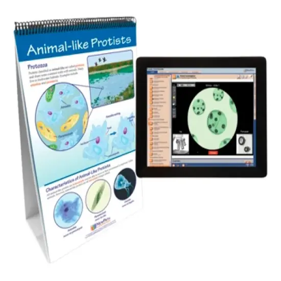 NewPath Learning Protists: Pond Microlife Flip Chart and Online Multimedia Lesson image {1}