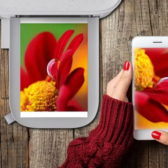 HP Sprocket Studio Plus 4 x 6" Photo Paper and Cartridges (Includes 108 Sheets and 2 Cartridges) Compatible only with HP Sprocket Studio+ Printer image {3}