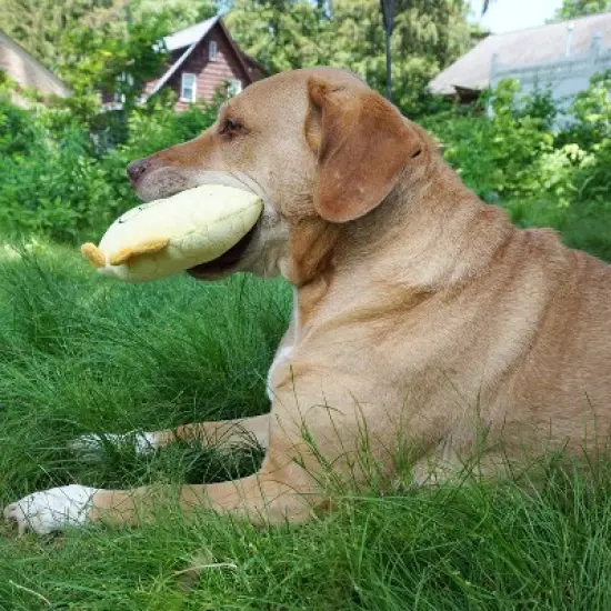 Bite Force Built with Kevlar Tough Plush Chicken Dog Toy image {10}