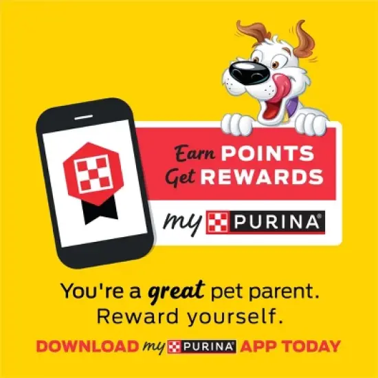 Beggin' Bacon Flavor Ghosts Strips Chewy Dog Treats - 6oz image {7}