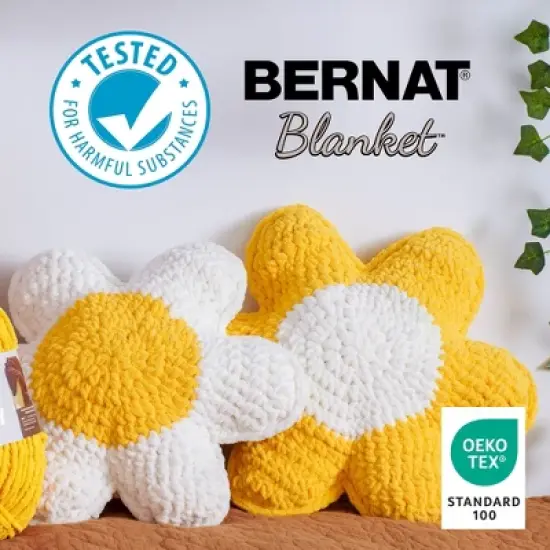 Bernat Blanket Big Ball Yarn 24 Pack-Floret image {7}
