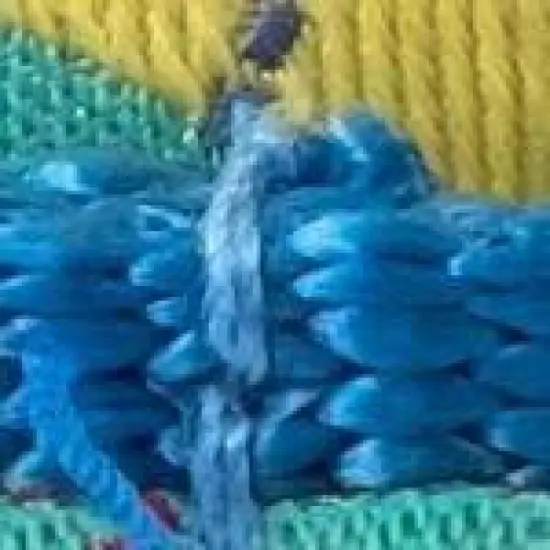 The Worthy Dog Haberdashery Argyle Dog Collar image {2}