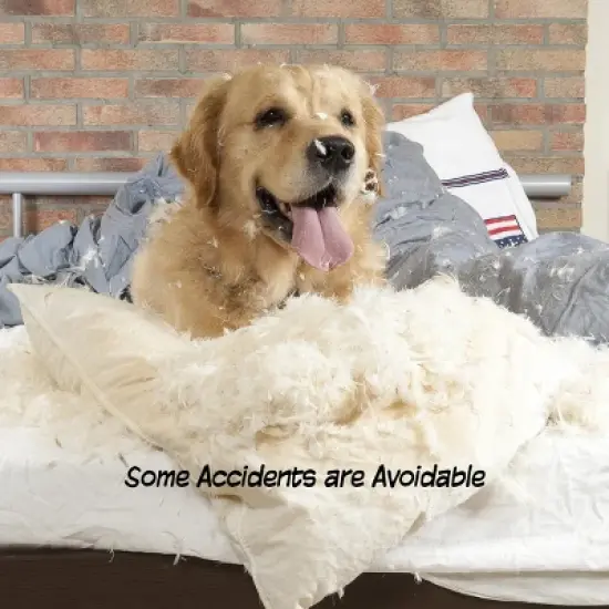 Pet Adobe 3-Panel Freestanding Pet Gate - White image {1}