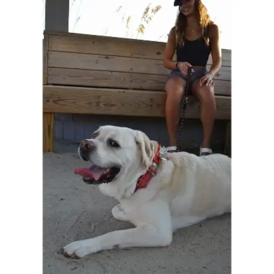 Black Rhino Soft Neoprene Padded Dog Collar for All Breeds image {2}