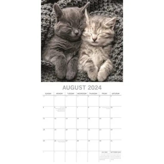 The Gifted Stationery 2024 Square Wall Calendar, Cat Naps, 16-Month Animals Theme with 180 Reminder Stickers (12 x 12 In) image {2}