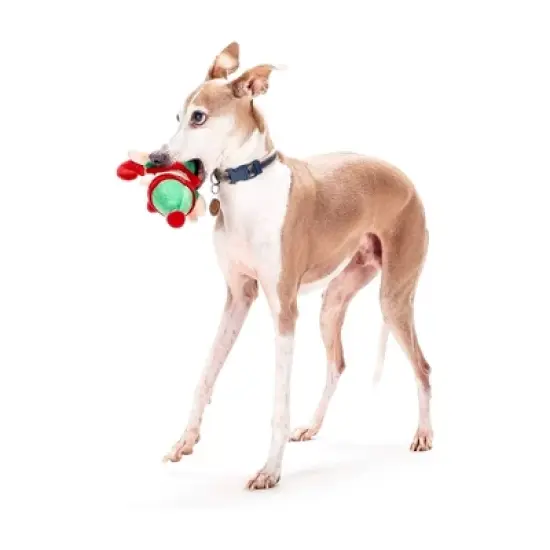 Midlee Christmas Elf Plush Dog Toy image {3}
