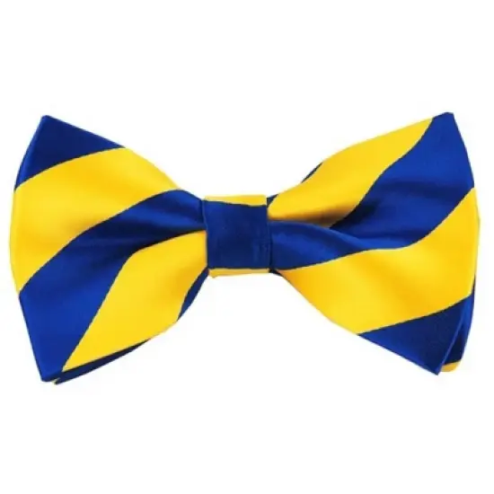Men's 2.75 W And 4.75 L Inch With Pre-Tied College Stripe Bowtie image {9}