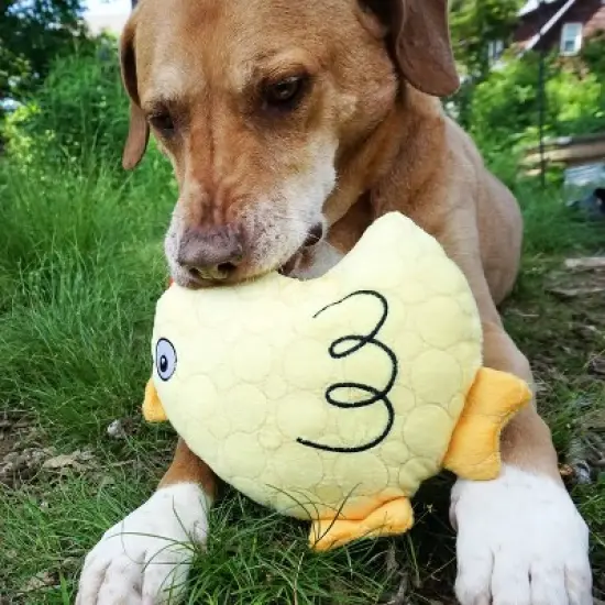 Bite Force Built with Kevlar Tough Plush Chicken Dog Toy image {9}