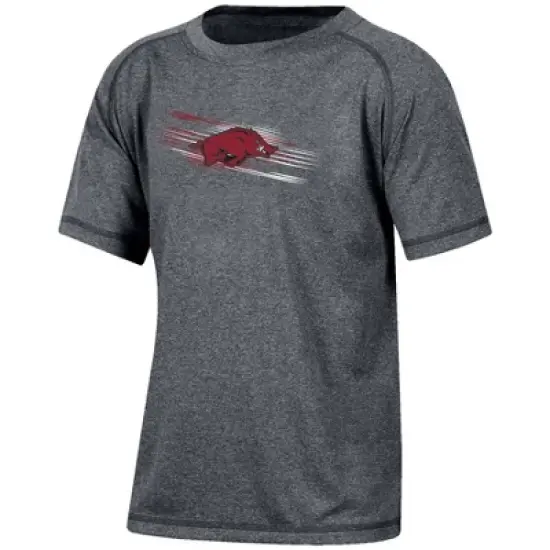 NCAA Arkansas Razorbacks Boys' Gray Poly T-Shirt image {3}