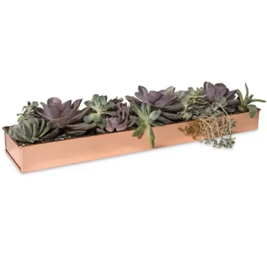 Gardener's Supply Company Rectangular Copper Plant Tray | 24" x 5" Leakproof Planting Pot for Houseplants & Succulents | Holiday Centerpiece Display image {2}