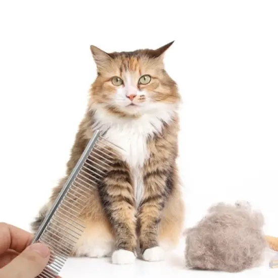 Unique Bargains Pet Grooming Comb for Cat Dogs 7.48"x1.38" Silver Tone 1 Pc image {4}