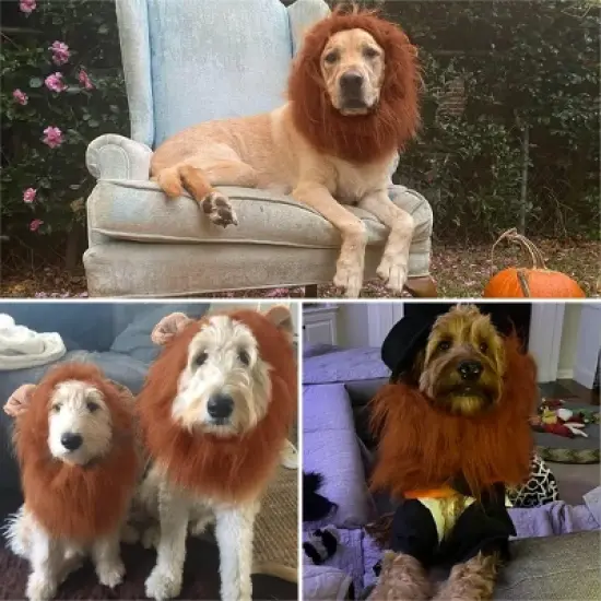 Lion Mane for Dog Costumes, Realistic Wig for Medium to Large Sized Dogs, Halloween Costumes image {6}