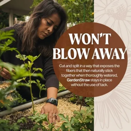 HealthiStraw GardenStraw All-Natural, Clean, Sustainable Garden Straw Mulch for Gardens and Grass Seeding image {2}