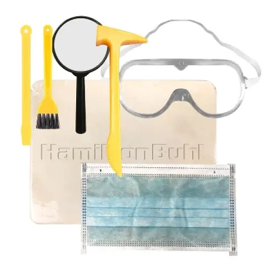 HamiltonBuhl Paleo Hunter Dig Kit for STEAM Education - Tyrannosaurus Rex image {2}