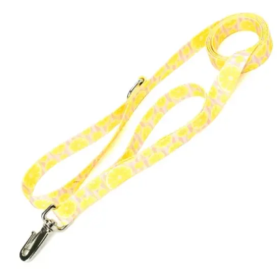 Country Brook Petz 6 Foot Dog Leash - Tasty Collection image {6}