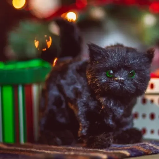 The Queen's Treasures Little House On The Prairie Black Cat For 18 In Dolls image {4}