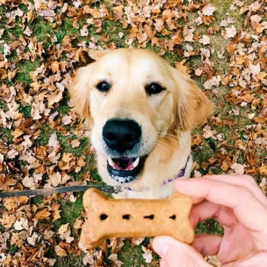 Old Mother Hubbard by Wellness Classic Crunchy  P-Nuttier with Apple, Peanut Butter and Carrot Biscuits Large Oven Baked Dog Treats image {4}