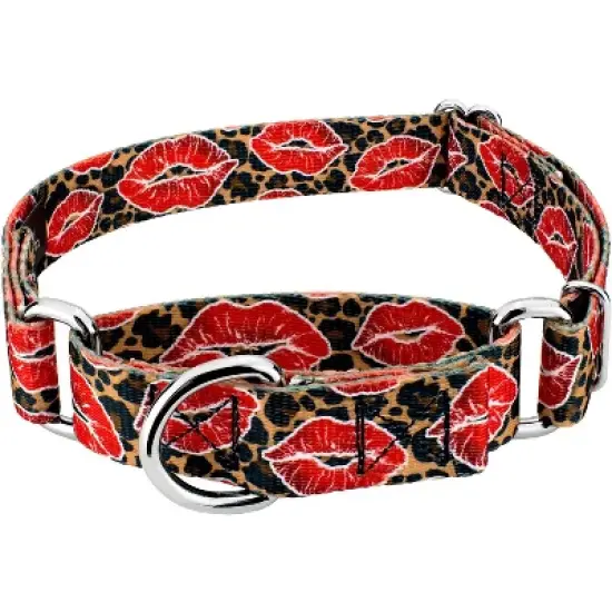 Country Brook Petz Cheetah Kisses Martingale Dog Collar image {8}