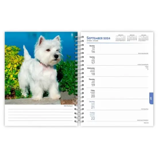 Browntrout 23-2024 Weekly/Monthly Planner 7.5"x7.125" West Highland White Terriers image {2}