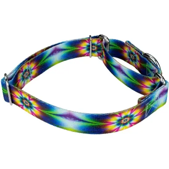 Country Brook Petz Tie Dye Flowers Martingale Dog Collar image {2}