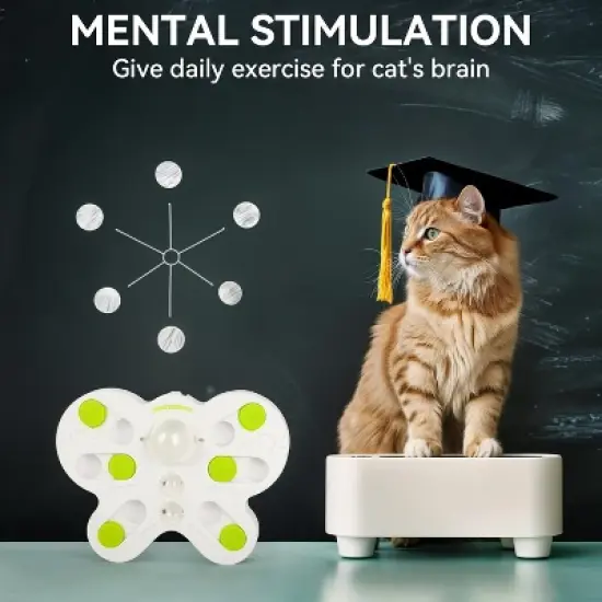 Allforpaws Interactive Cat Toys Cat Treat Puzzle Slow Feeder for Indoor Play image {4}