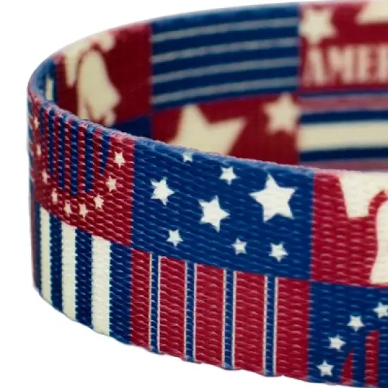 Country Brook Petz Spirit of '76 Dog Leash (6 Foot, 1 Inch Wide) image {3}