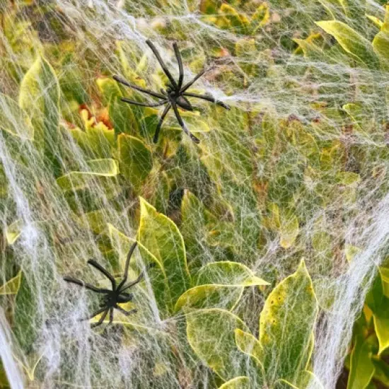 Wrapables 16ft Giant Triangular Spider Web Kit with Cobwebs and 2 Small Spiders, Indoor Outdoor Haunted House Halloween Decor image {5}