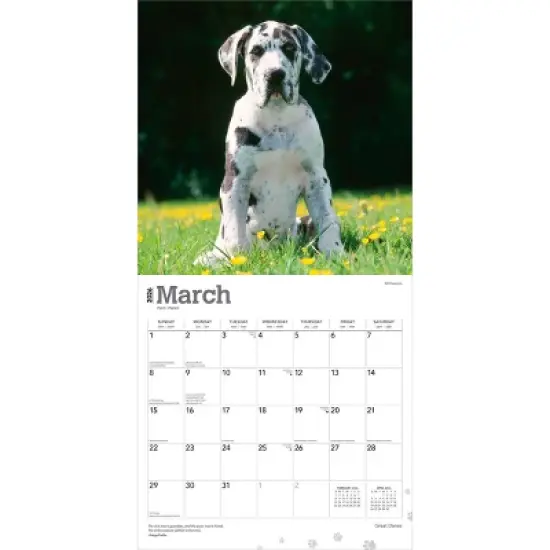 BrownTrout Great Danes 2026 12"x24" Hanging Square Wall Calendar Plastic-Free image {2}