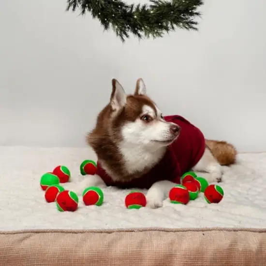 Midlee Filled Dog Stocking- Reindeer Antlers and 10 Mini Tennis Balls image {2}