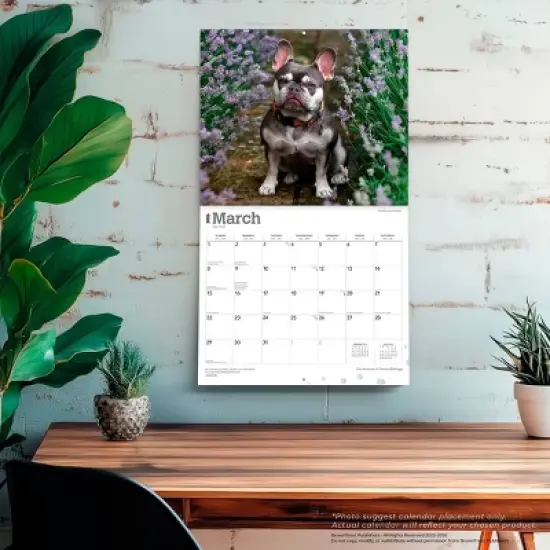 BrownTrout For the Love of French Bulldogs 2026 14"x24" Hanging Deluxe Wall Calendar Plastic-Free image {4}