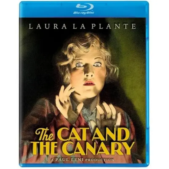 The Cat And The Canary (1927) image {2}
