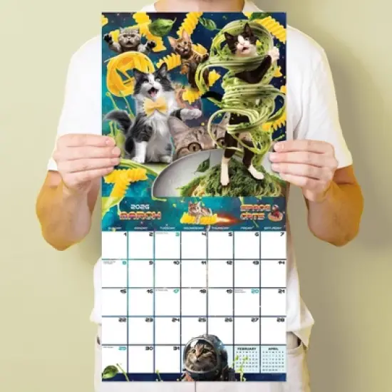 TF Publishing 13.5"x14.5" 2026 Space Cats Wall Calendar image {3}