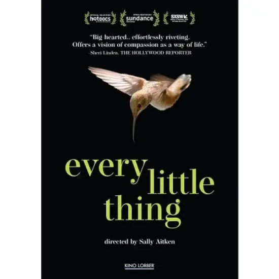 Every Little Thing (DVD)(2025) image {1}