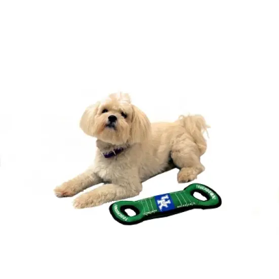 NCAA Kentucky Wildcats Football Field Dog Toy image {2}