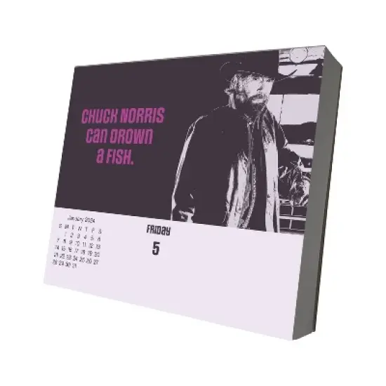 Trends International Inc. 2024 Daily Desk Calendar 4.25"x5" Chuck Norris image {1}