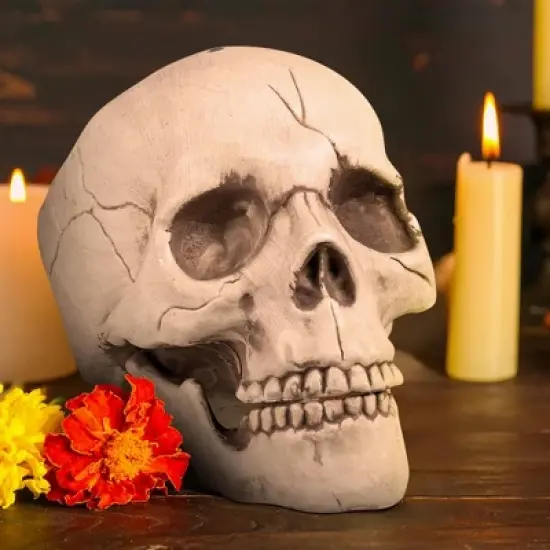 Boland Skull With Movable Jaw Halloween Decoration image {4}