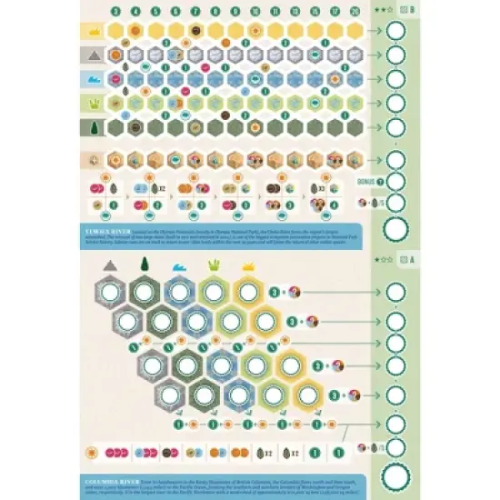 AEG: Cascadia: Rolling Rivers - Puzzly Flip-Roll-Write Board Game, Ages 10+ image {7}