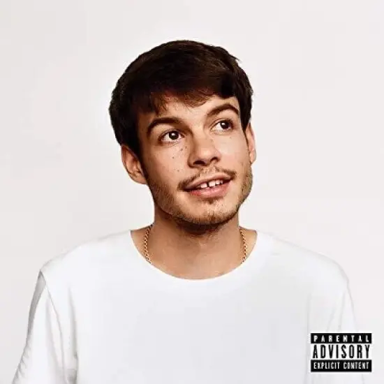 Rex Orange County - Pony image {1}