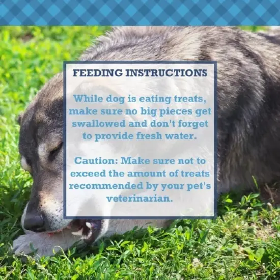 Country Living Whole Pig Ears Dog Treats - 100% Natural, Premium Pork Chews for Dental Care - 15-Pack image {5}