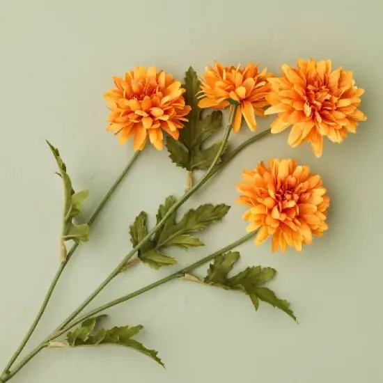 25" Orange Daisy Artificial Stem - Hearth & Hand&trade; with Magnolia image {2}