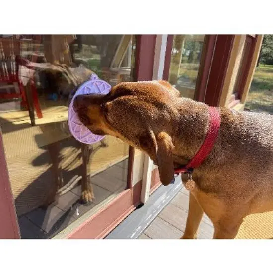 Lotus Design eMat Enrichment Lick Mat With Suction Cups image {9}