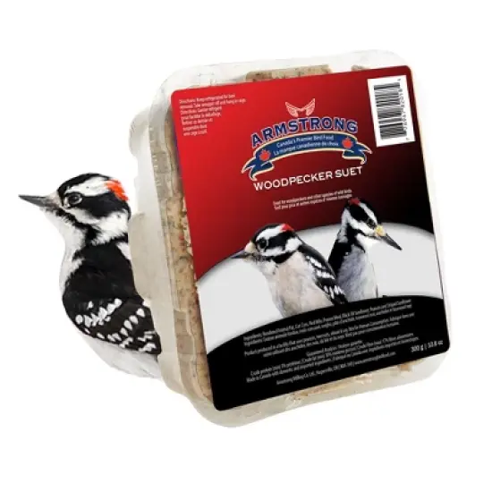 Armstrong Wild Bird Food Woodpecker Suet Cake, 10.6oz (Pack of 12) image {2}