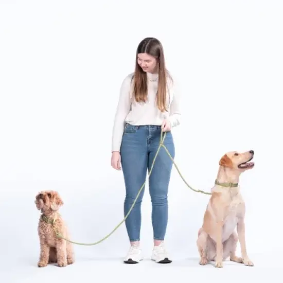 AWOO Infinity Multifunctional Recycled Dog Leash - 7ft image {3}
