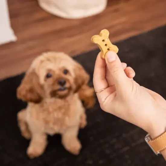 Rocco & Roxie Supply Co. Roasted Duck with Cranberries and Parsley Dog Treats - 14oz image {5}