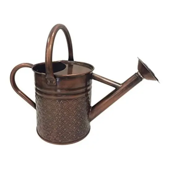 Gardener Select Metal Watering Can with Handles, Copper, 1 Gallon image {2}
