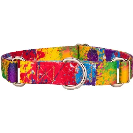 Country Brook Petz Paint Splatter Martingale Dog Collar image {4}