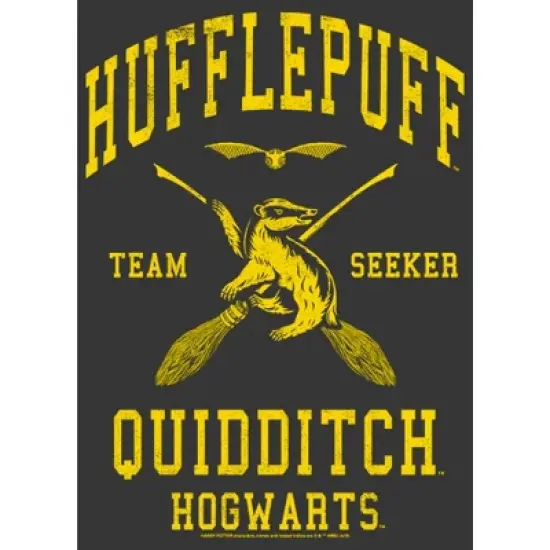Boy's Harry Potter Hufflepuff Quidditch Seeker T-Shirt image {1}