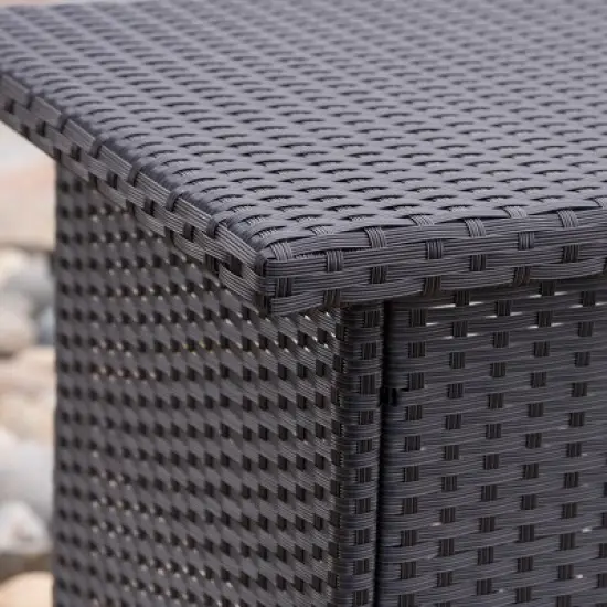 Trinidad Wicker Bar - Dark Brown - Christopher Knight Home image {3}